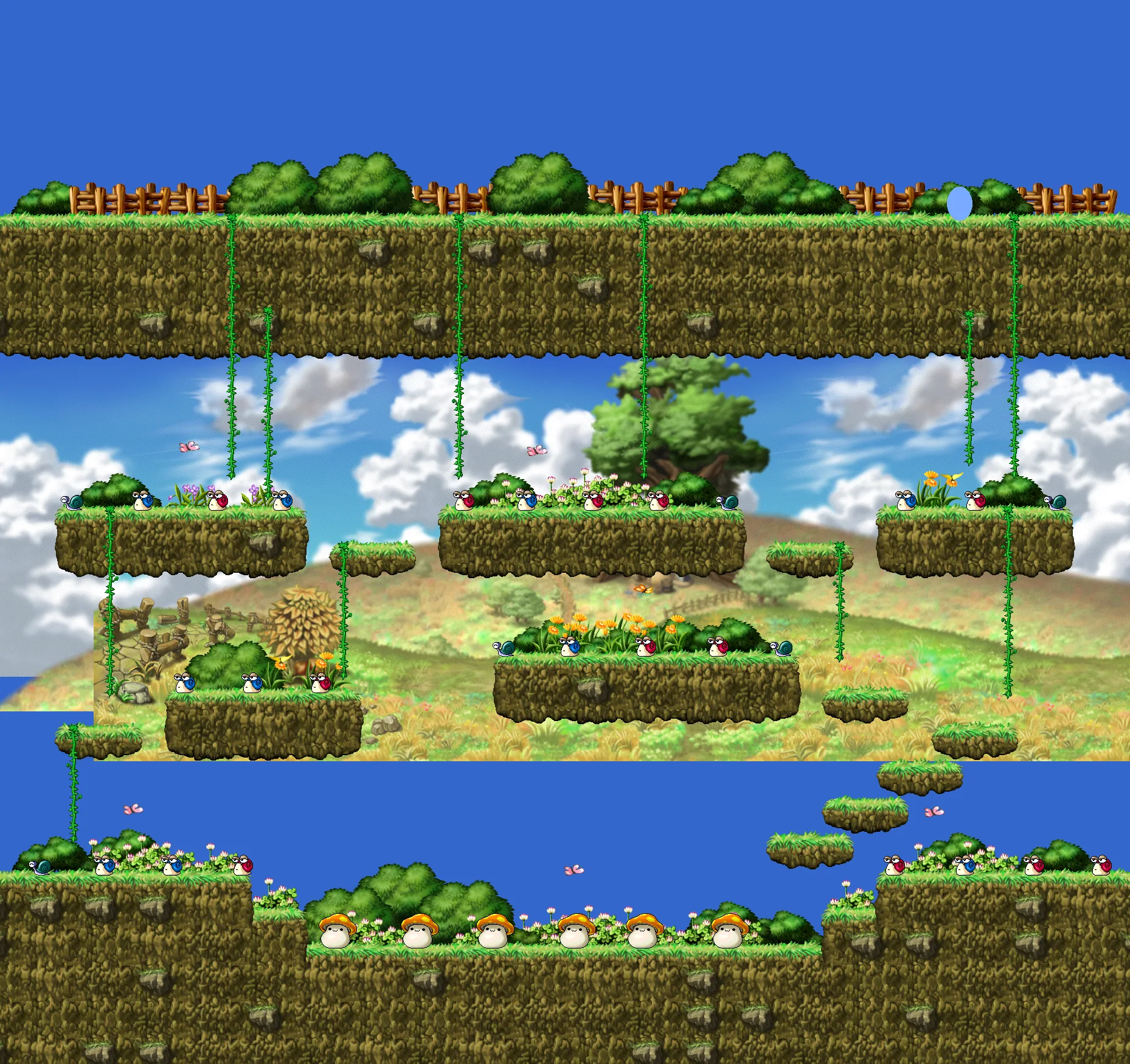 Snail Field of Flowersのマップ